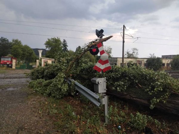 Vântul a făcut ravagii în Capitală: 20 de copaci doborâţi, 12 maşini şi 3 imobile afectate