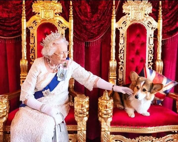 Regina Elisabeta a II-a şi dragostea ei faţă de căţei şi cai. A avut peste 70 de câini şi 100 de cai